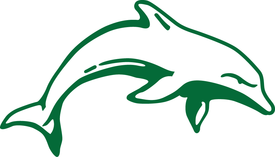 Le Moyne Dolphins 1999-2008 Primary Logo diy DTF decal sticker